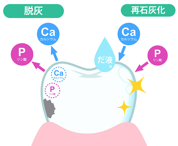 むし歯予防を補助する効果