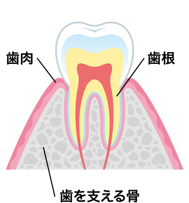 初期